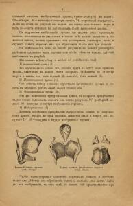 Голова. Строение человеческой головы и отправления важнейших ея органов 1900 год - rsl01010033182_22.jpg